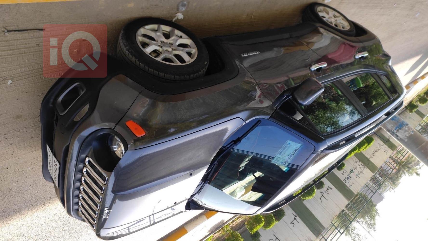 جيب رينيجيد